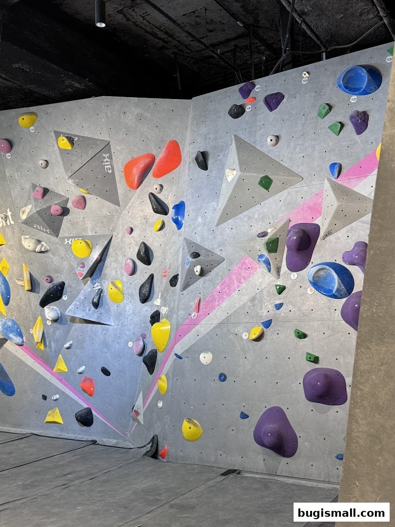 Interior view of a bouldering gym with colorful climbing holds on a grey wall.