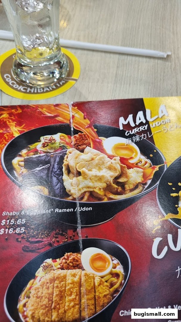 A menu from CoCo Ichibanya featuring Mala Curry Udon and other noodle dishes.