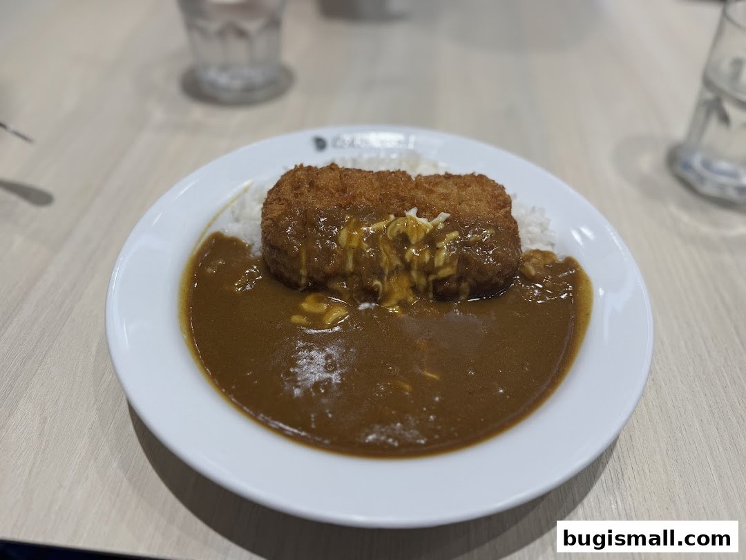 A plate of Japanese curry with rice and a crispy cutlet, served at CoCo Ichibanya.