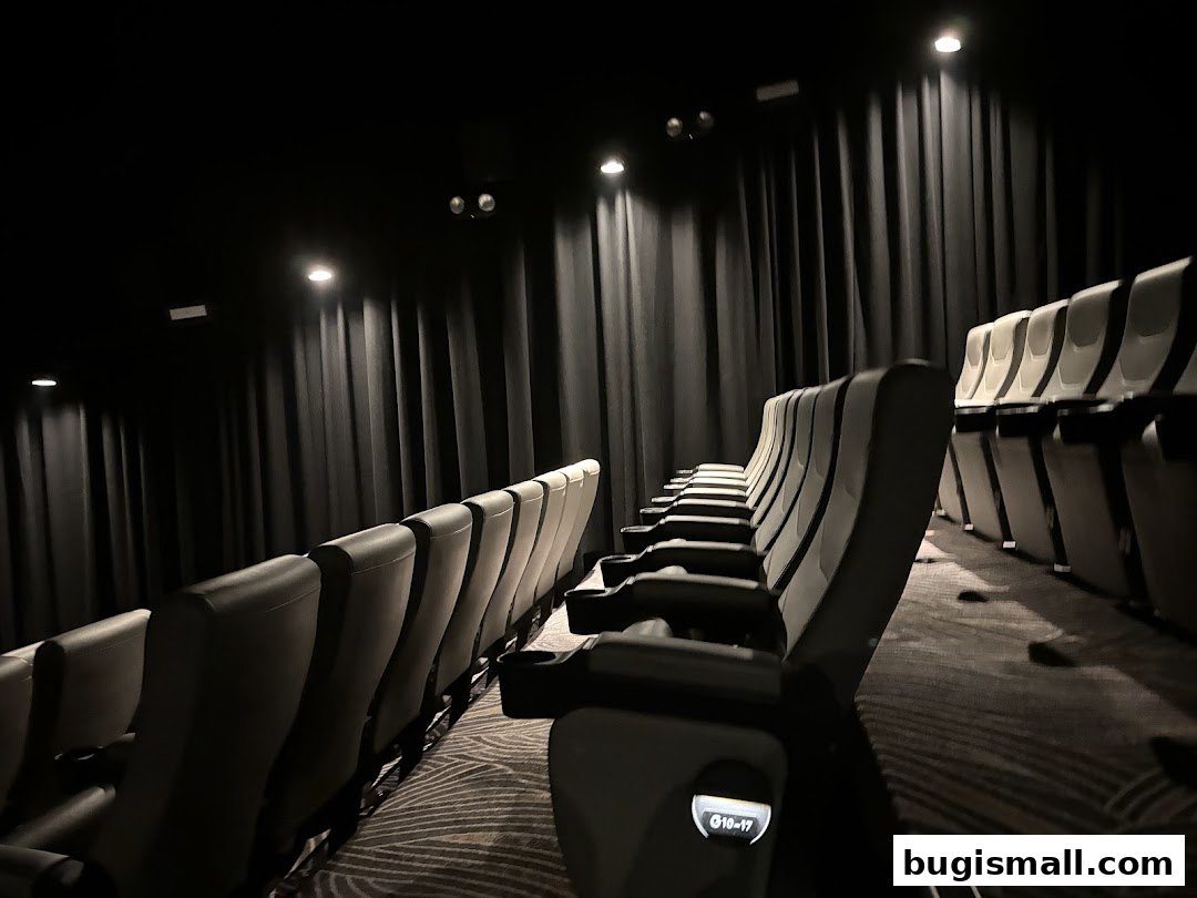 Rows of empty, comfortable cinema seats in a dark, curtained theater.