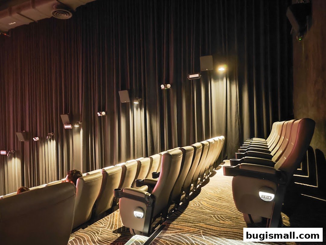 Rows of empty and occupied cinema seats with dark curtains and speakers on the wall.