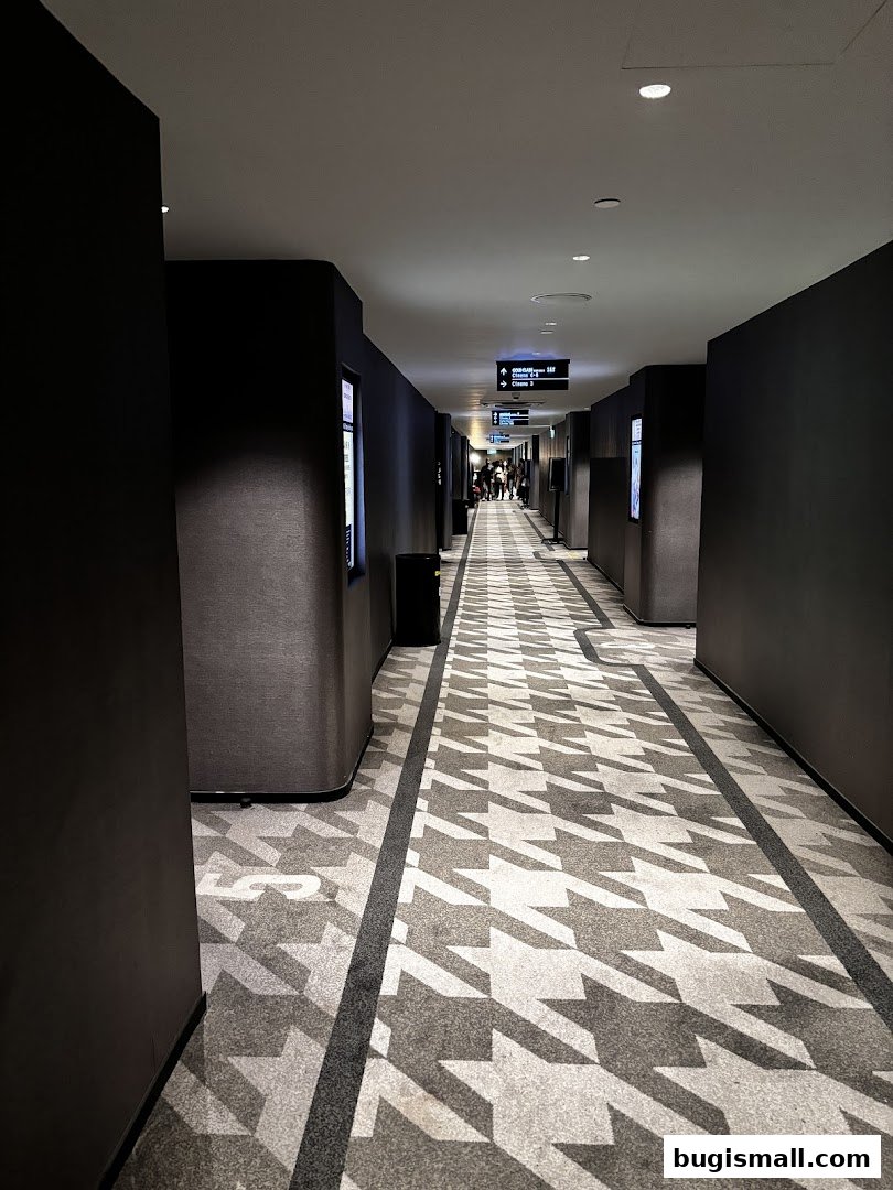 A long, dimly lit corridor with patterned carpet and dark walls, leading to cinema halls.