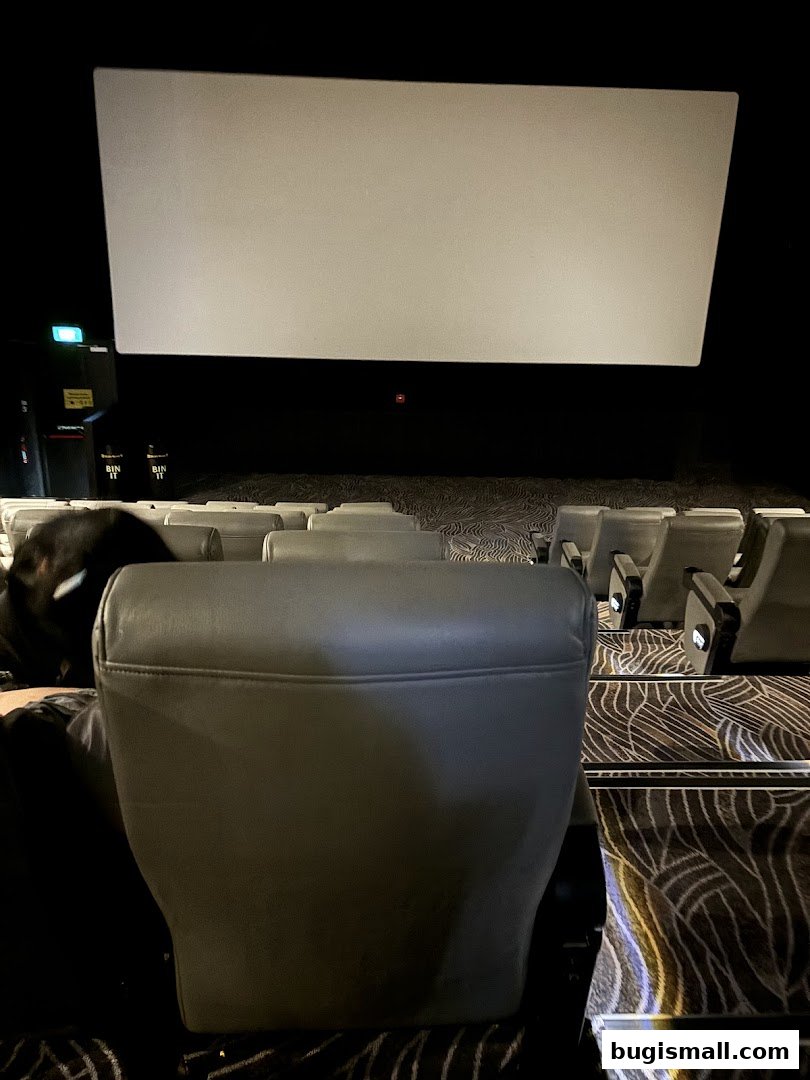Interior view of a cinema hall with empty seats and a large blank screen.