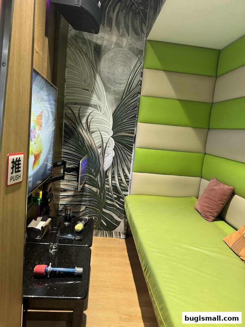 A karaoke room with a green couch, microphones, and a TV screen.