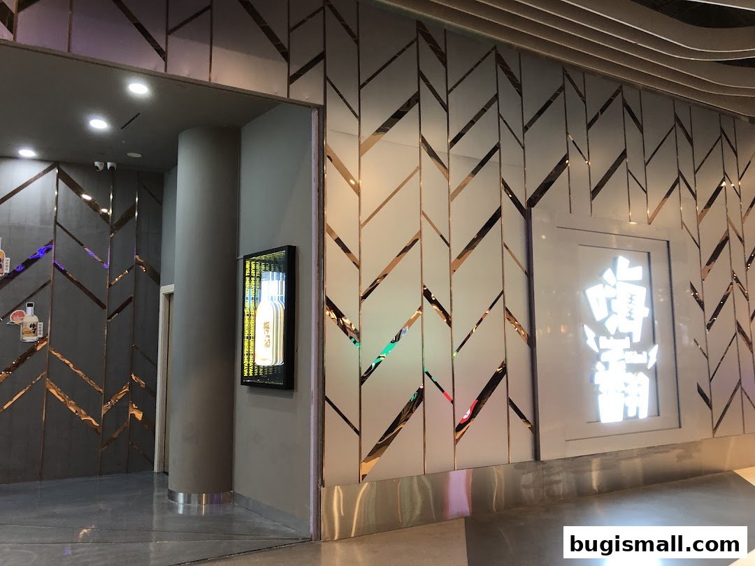 HaveFun Karaoke Bugis Plus