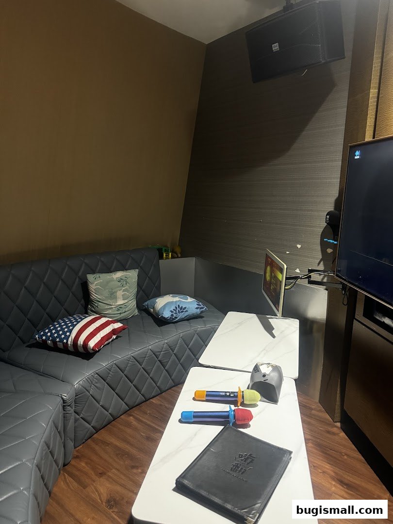 A karaoke room with a grey sofa, microphones, and a TV screen.