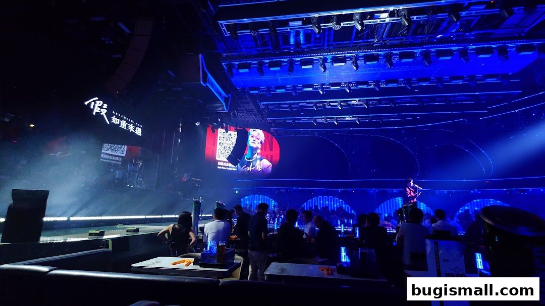 A live performance with a singer on stage and audience seated at tables in a club.