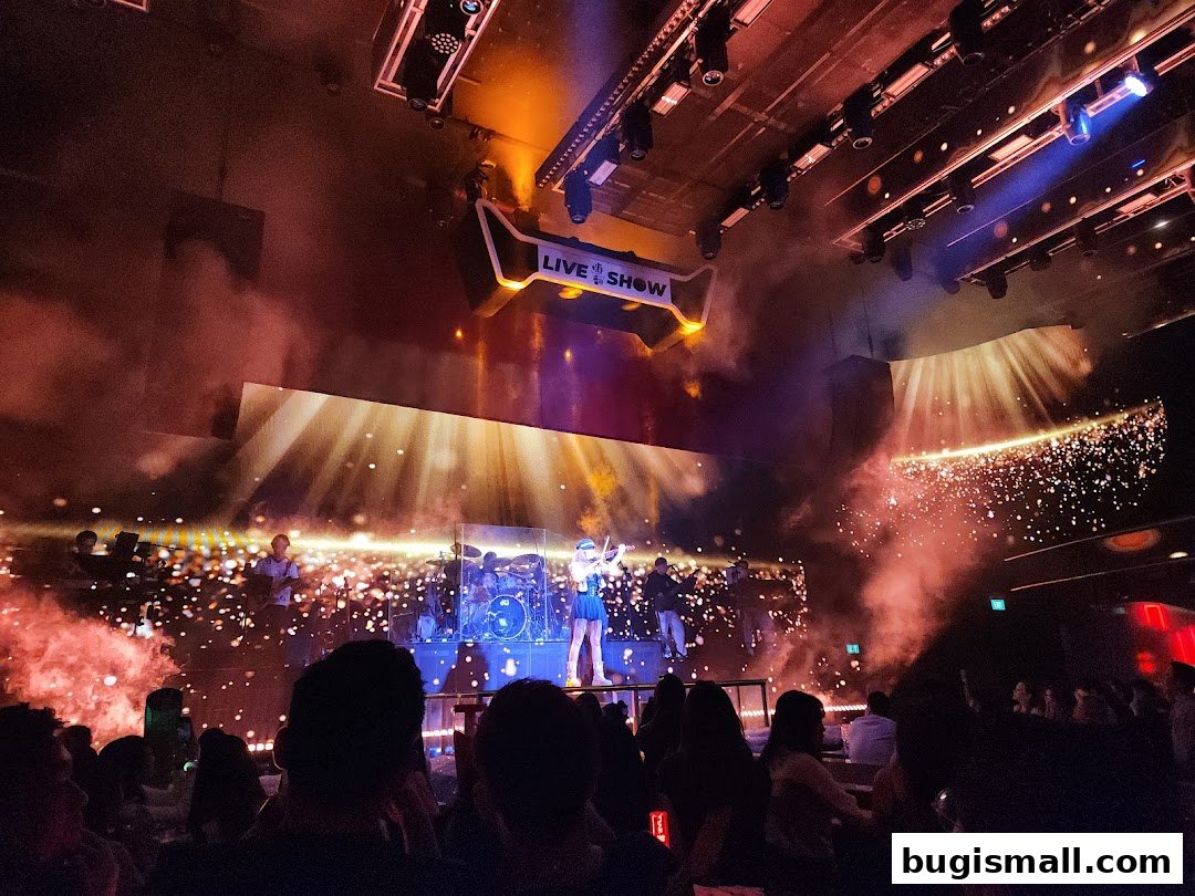 A live music performance with a band on stage, smoke effects, and an audience watching.