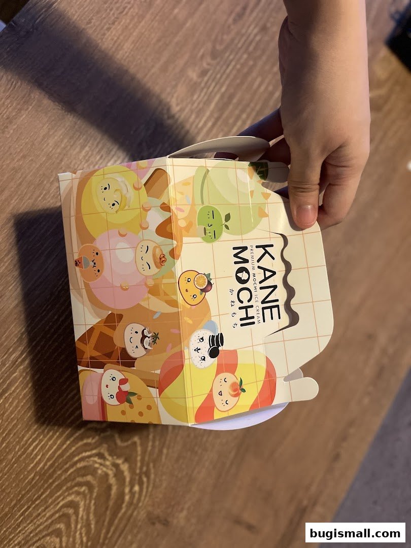 A hand holds a colorful box from Kane Mochi, featuring cute mochi ice cream characters.