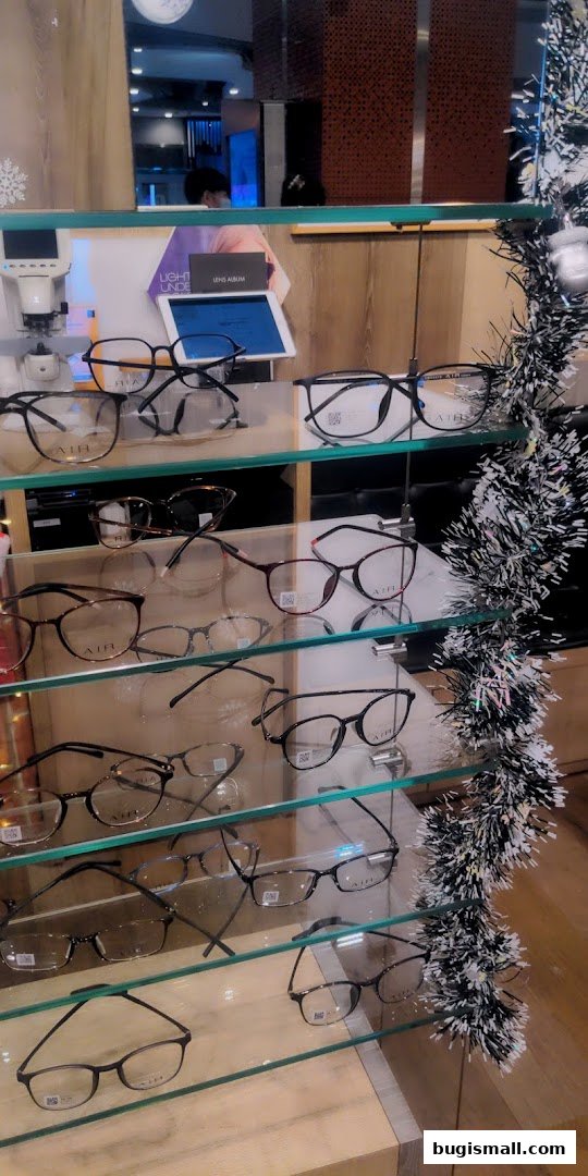 A display case filled with various eyeglasses, with a festive garland on the side.