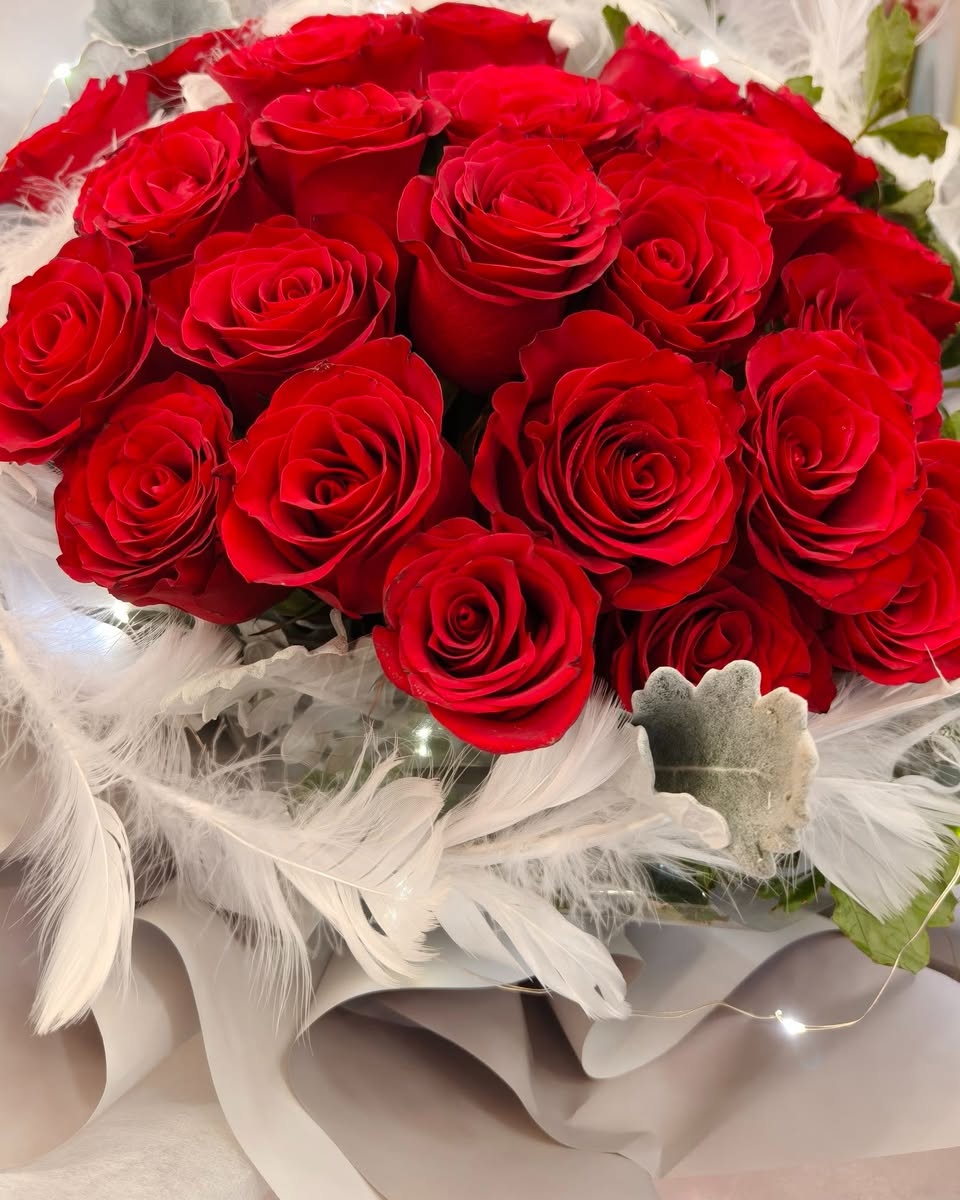 Close-up of premium red roses for Valentine's Day
